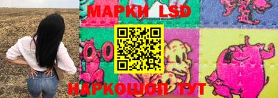 СК Новозыбков