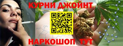 СК Новозыбков