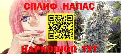 СК Новозыбков