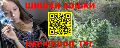 СК Новозыбков