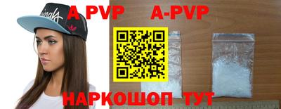 СК Новозыбков