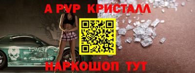 СК Новозыбков