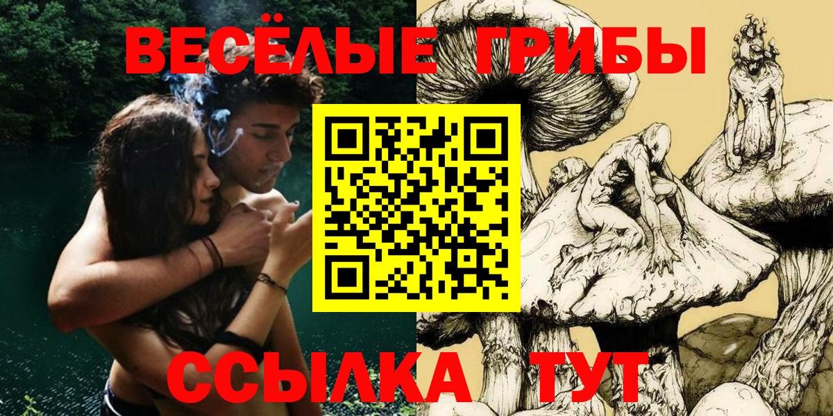 Псилоцибиновые грибы ЛСД Нальчик